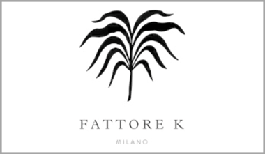 FATTORE K LOGO